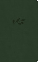 CSB Single-Column Personal Size Reference Bible, Olive (Imitation Leather)