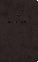 ESV Premium Church Bible, Large Print, Black (Imitation Leather)