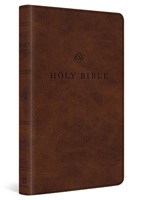 ESV Premium Church Bible, Large Print, Brown (Imitation Leather)