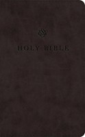 ESV Premium Church Bible, Large Print, Red Letter (Imitation Leather)