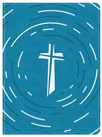 Daily Wisdom for Boys SKJV Devotional Bible (Imitation Leather)