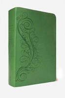 The ESV New Inductive Study Bible (Leather Binding)