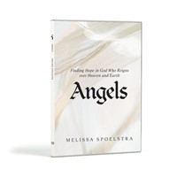 Angels DVD Set (DVD)
