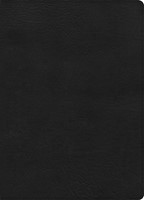 CSB Study Bible, Large Print Edition, Black Leathertouch (Imitation Leather)