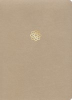 CSB Study Bible, Large Print Edition, Gold, Indexed (Imitation Leather)