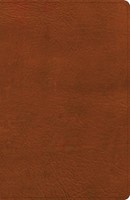 NASB Personal Size Giant Print Bible, Burnt Sienna (Imitation Leather)