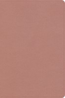KJV Study Bible, Personal Size Edition, Rose Gold (Imitation Leather)