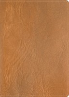 CSB He Reads Truth Bible, Holman Handcrafted Collection (Genuine Leather)