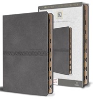 KJV Holy Bible, Large Print Medium Format, Gray (Imitation Leather)