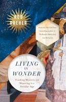 Living in Wonder (Paperback)