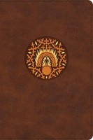 The Biggest Story Holy Bible for Kids Brown, Indexed (Imitation Leather)