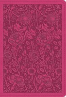 ESV Large Print Compact Bible, Red Letter, Berry (Imitation Leather)