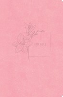 CSB Compact Bible, Value Edition, Soft Pink Leathertouch (Leather Binding)