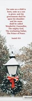 Christmas Bookmark: His Name (pack of 25) (Bookmark)
