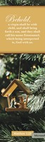 Christmas Bookmark: Behold (pack of 25) (Bookmark)