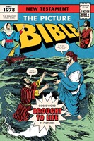 The Picture Bible New Testament (Paperback)