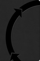 CSB Daily Disciples Bible, Large Print, Black (Imitation Leather)