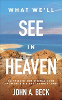 What We'll See in Heaven (Paperback)