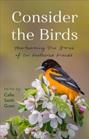 Consider the Birds (Paperback)