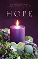 Hope Advent Bulletin (pack of 100) (Bulletin)