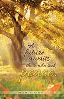 Future Awaits Bulletin (pack of 100), A (Bulletin)