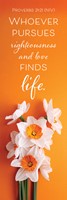 Whoever Pursues Righteousness Bookmark (pack of 25) (Bookmark)