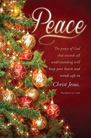 Peace Philippians 4:7 Advent Bulletin (pack of 100) (Bulletin)