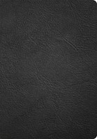 CSB Baker Illustrated Study Bible, Black Genuine Leather (Genuine Leather)
