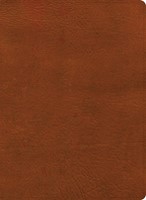 NASB Study Bible, Burnt Sienna Leathertouch, Indexed (Imitation Leather)