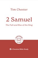 2 Samuel: The Fall and Rise of the King (Paperback)