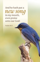 General Worship Bulletin: He Hath Put (Pack of 100) (Bulletin)