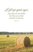 General Worship Bulletin: Lift Up (Pack of 100) (Bulletin)