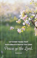 General Worship Bulletin: Let Every Thing (Pack of 100) (Bulletin)