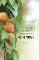 Evangelism Bulletin: Every (Pack of 100) (Bulletin)