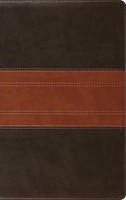 ESV Giant Print Personal Size Bible, Red Letter, Indexed (Imitation Leather)