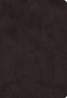 ESV Giant Print Value Thinline Bible, Black (Imitation Leather)