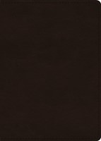 ESV Large Print Value Personal Size Bible, Red Letter (Imitation Leather)