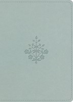 ESV Large Print Value Personal Size Bible, Red Letter (Imitation Leather)