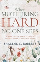 When Mothering is Hard and No One Sees (Paperback)
