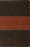 ESV Large Print Personal Size Bible, Red Letter, Forest/Tan (Imitation Leather)