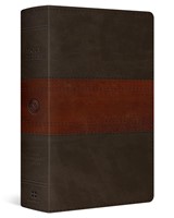 ESV Giant Print Personal Size Bible, Red Letter, Forest/Tan (Imitation Leather)