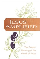 Jesus Amplified (Imitation Leather)