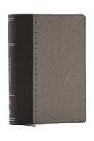 Alexander Maclaren Study Bible: Encouragement And Insights (Leather / Fine Binding)