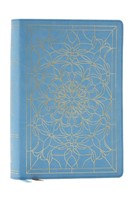 Alexander Maclaren Study Bible: Encouragement And Insights (Leather / Fine Binding)