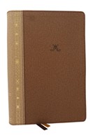 Alexander Maclaren Study Bible: Encouragement And Insights (Leather / Fine Binding)