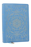 Alexander Maclaren Study Bible: Encouragement And Insights (Leather / Fine Binding)