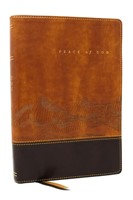 Peace Of God Bible (Imitation Leather)