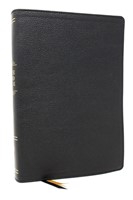 Peace Of God Bible (Imitation Leather)