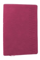 Student Study Bible: A Guide To Knowing And Living God’s Wor (Imitation Leather)