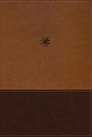 NBLA, Biblia CronolóGica De Estudio, Interior A Cuatro Color (Imitation Leather)